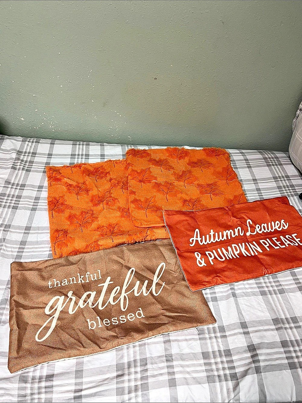 Fall Harvest Decor Set Orange & Brown Pillow Covers